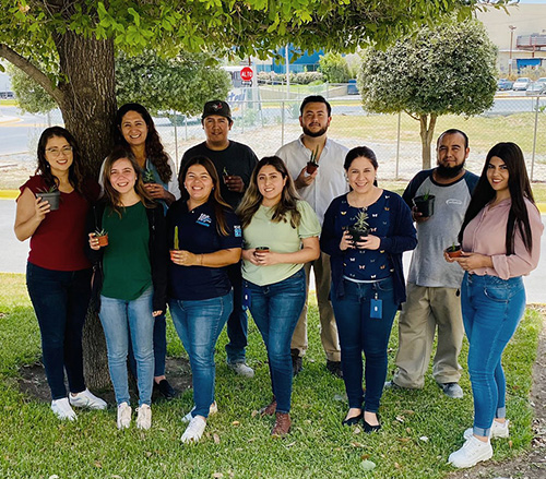 Diversity Inclusion Teaser