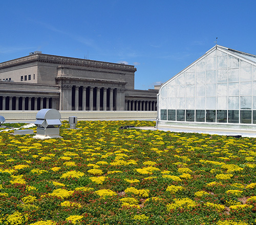 Natural Resources Teaser